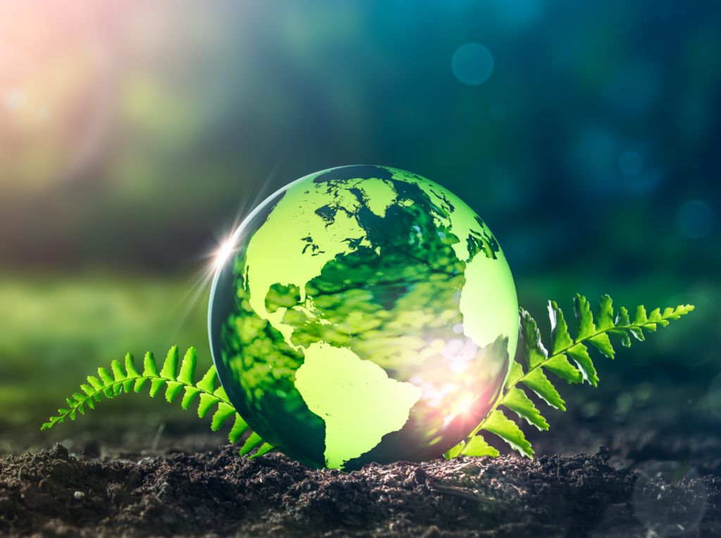 L&rsquo;impact écologique de nos choix quotidiens